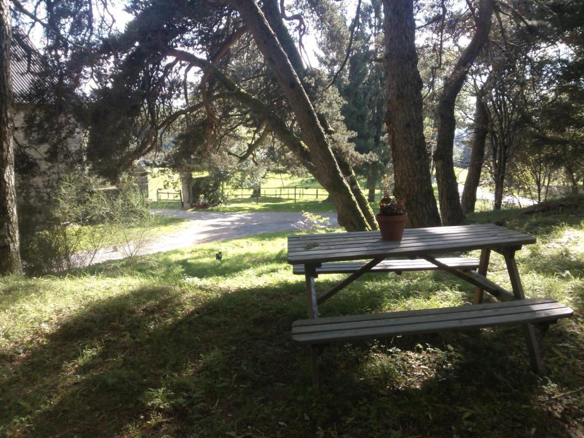 Domaine D'Angel-Berg Hotel Vezins-de-Levezou Bagian luar foto